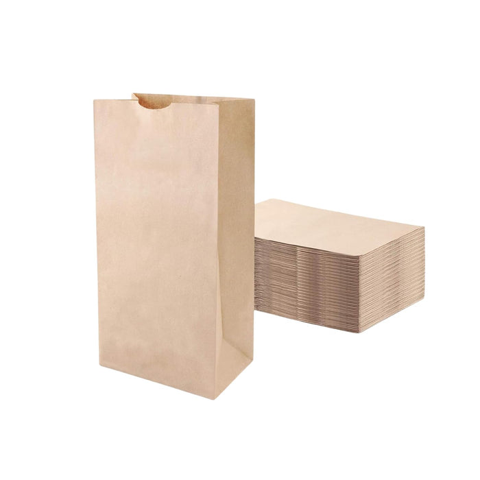 2 lb Brown Paper Kraft Bags, 500/Cs