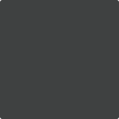2125-10: Black Panther a paint color by Benjamin Moore avaiable at Clement's Paint in Austin, TX.