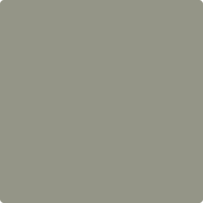 2140-40: Storm Cloud Gray a paint color by Benjamin Moore avaiable at Clement's Paint in Austin, TX.
