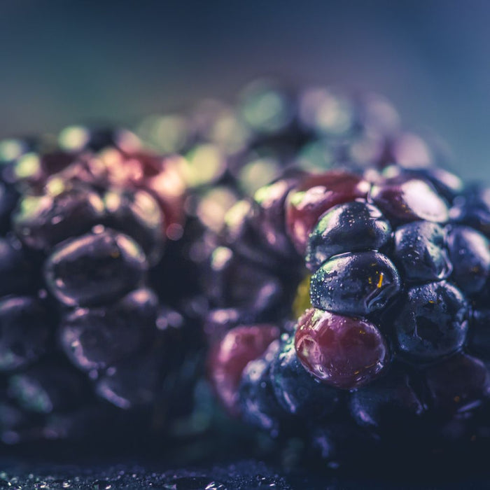 Blackberry Balsam Fragrance Oil 417
