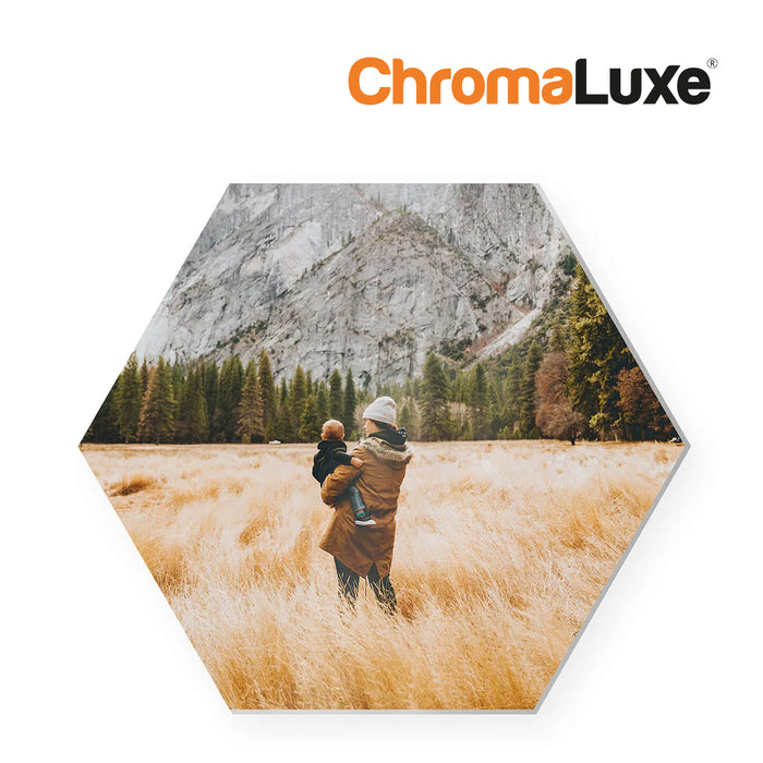ChromaLuxe Hexagon Wall Tile with Mount Women With Child