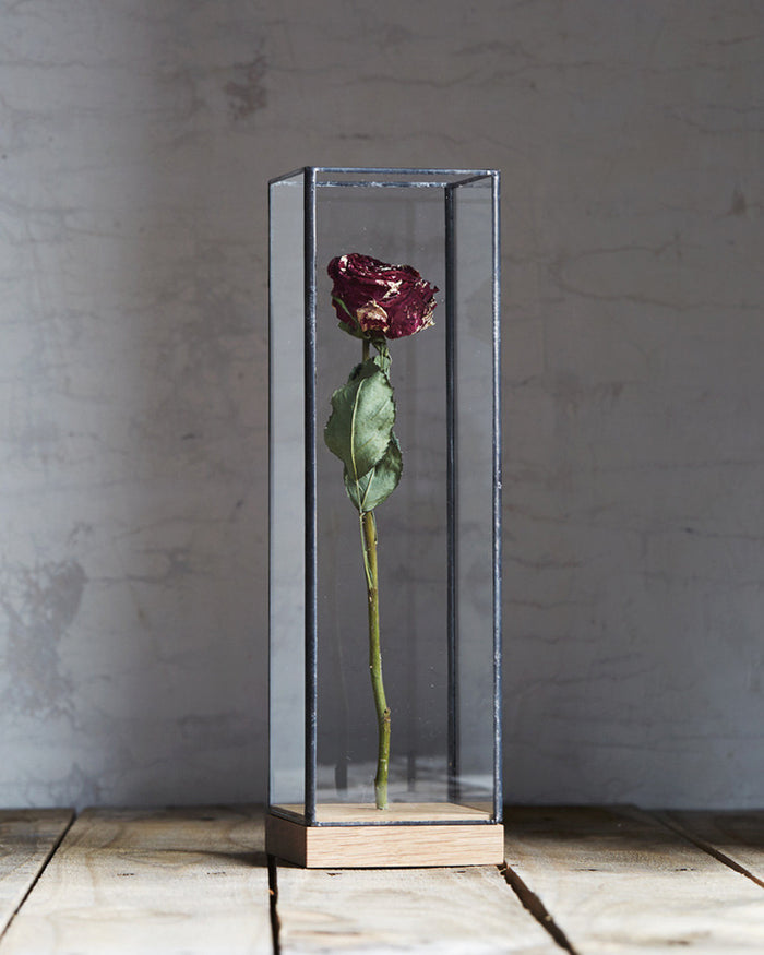 Flower Showcase - Large Black
