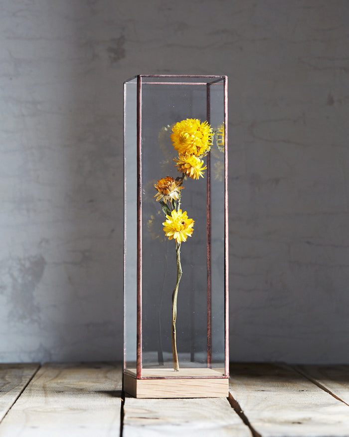 Flower Showcase - Large Copper
