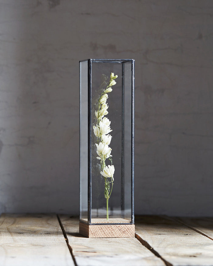 Flower Showcase - Small Black