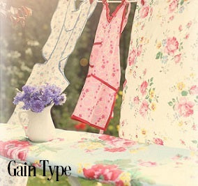 Gain Fragrance Oil 20030