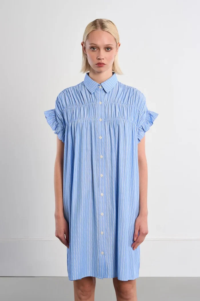 Molly Bracken Smocked Shirt Dress