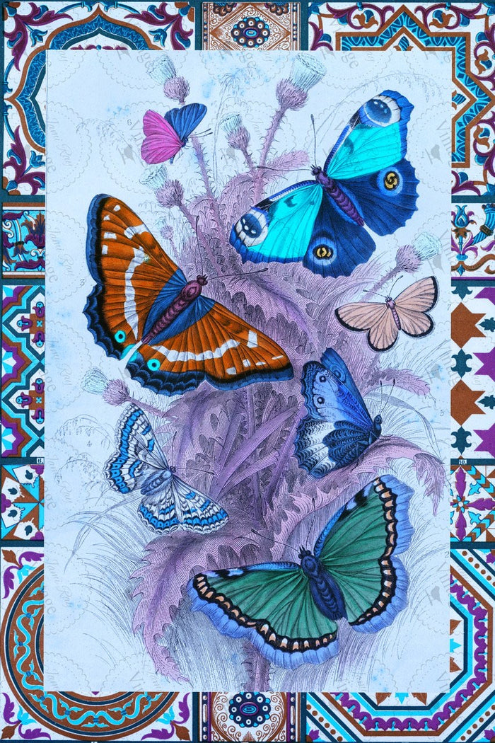 Papillon JRV