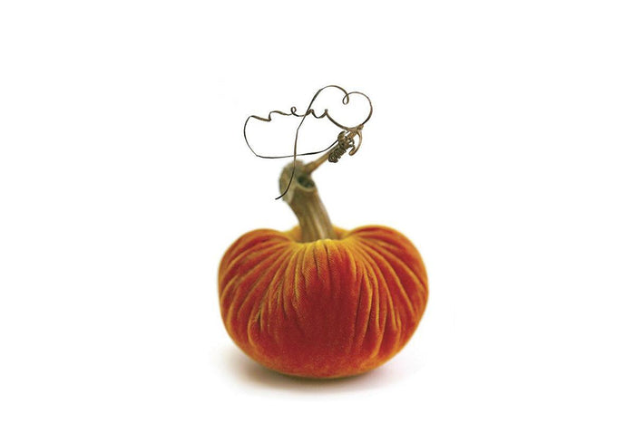 PP Carrot Velvet Pumpkin