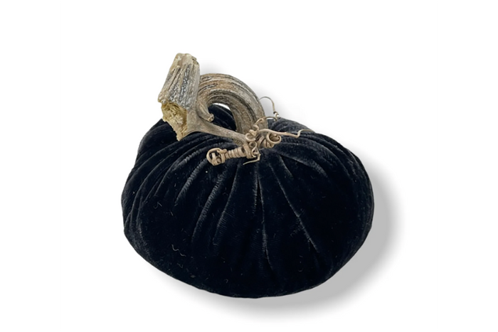 PP Coal Velvet Pumpkin