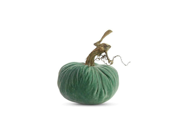 PP Lagoon Pumpkin