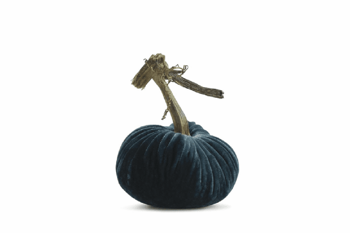 PP Peacock Pumpkin
