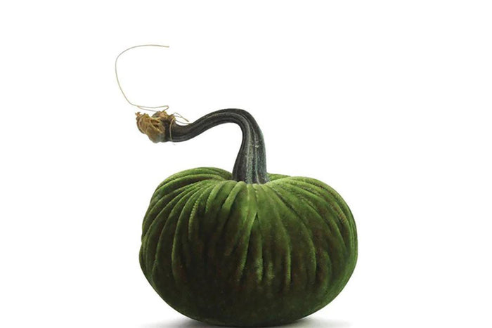 PP Watermelon Pumpkin