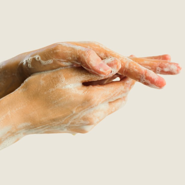 Liquid Hand Soap