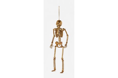 14.5" Skeleton
