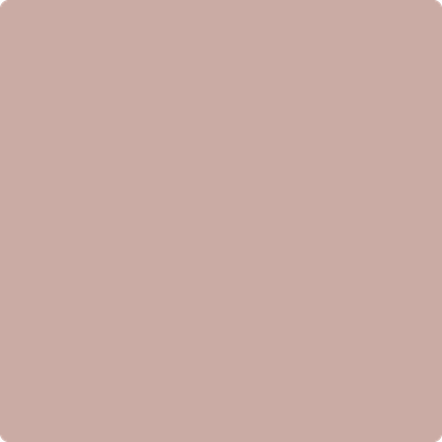 2101-50: Allspice  a paint color by Benjamin Moore avaiable at Clement's Paint in Austin, TX.