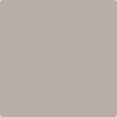 2109-50: Elephant Gray  a paint color by Benjamin Moore avaiable at Clement's Paint in Austin, TX.