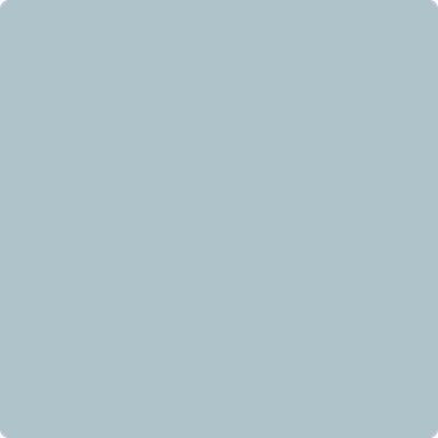 2135-50: Soft Chinchilla  a paint color by Benjamin Moore avaiable at Clement's Paint in Austin, TX.