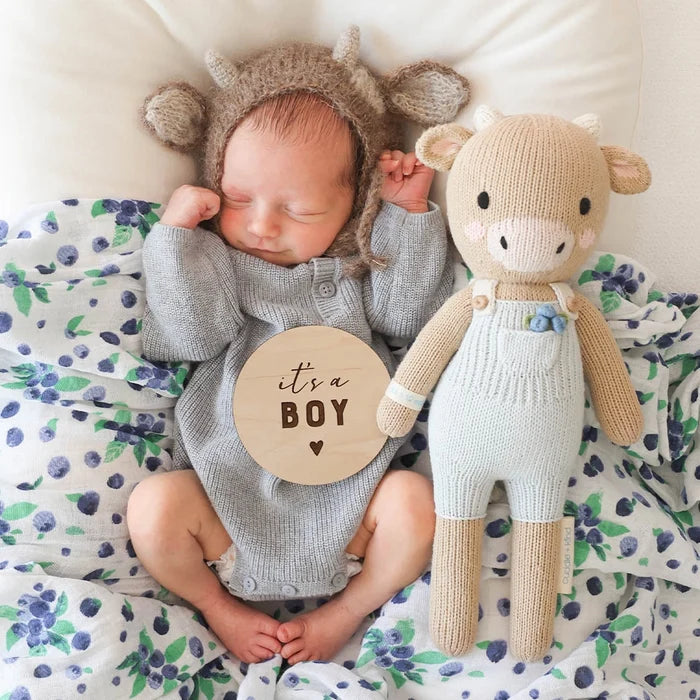 Asher the Cow- Assorted Sizes- Sold Individually