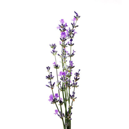 Avon Overnight Foot Treatment Cream with Lavender - 150ml