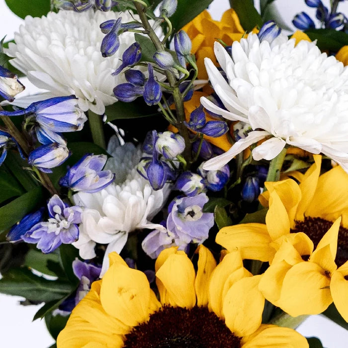 Blooming Garden Spring Combo Pack Close Up - Image