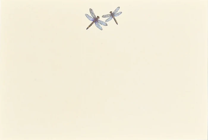Blue Dragonflies Correspondence Cards