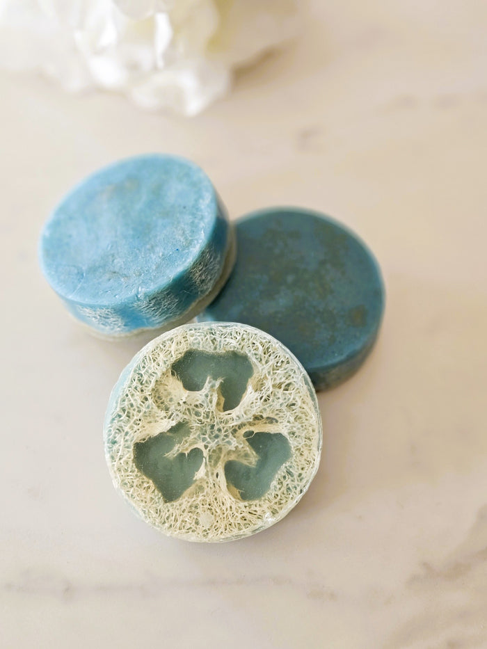 Botanical Loofah Soap