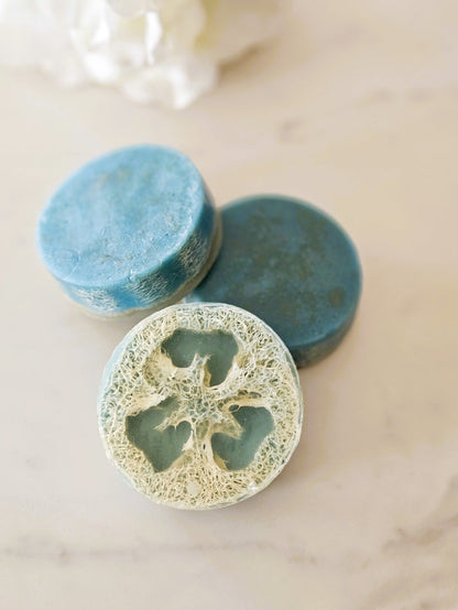 Botanical Loofah Soap