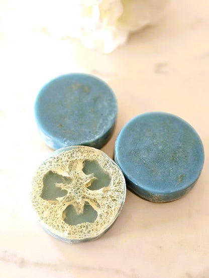 Botanical Loofah Soap