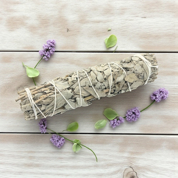 California Sage - Medium