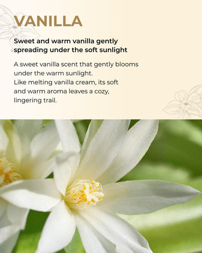 Chiffon Vanilla Perfume Body Lotion