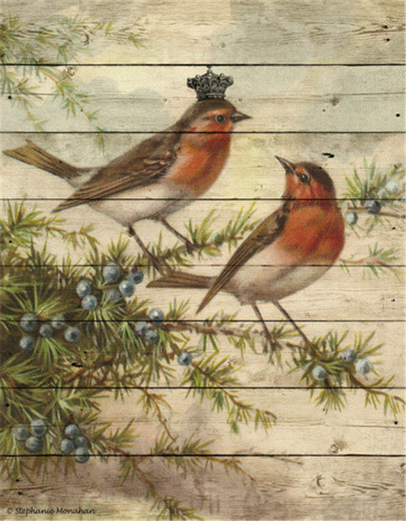 Christmas Red Belly Birds (043) C289