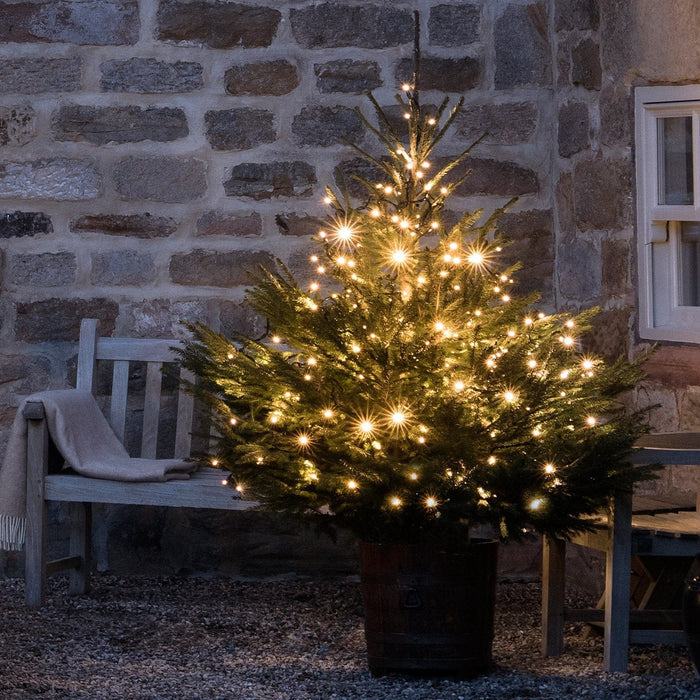ML100YWG_Outdoor-Christmas-Tree-Fairy-Lights-Country-House-1_P2_2000x2000_d5a783d2-7d03-4b59-8fda-b85e8db89da5.jpg