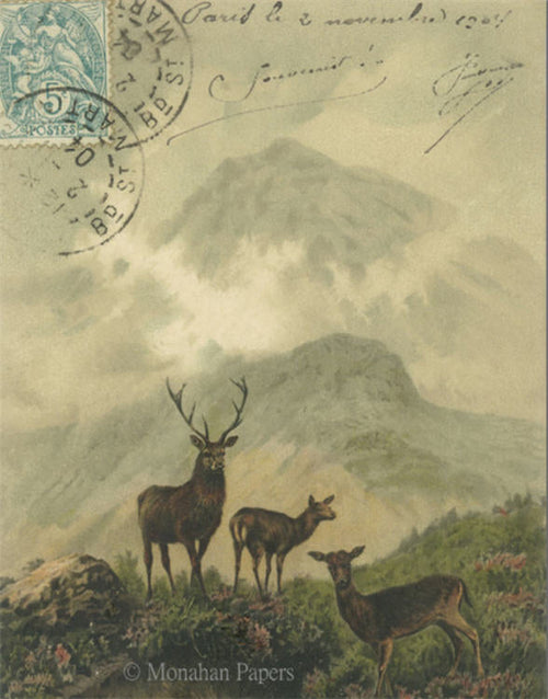 Deer Sighting (024) C313