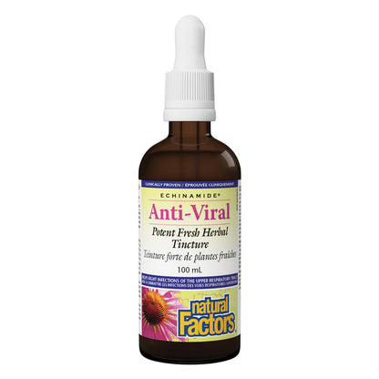 Dropper Bottle of Natural Factors Echinamide Anti-Viral Potent Fresh Herbal Tincture 100ml