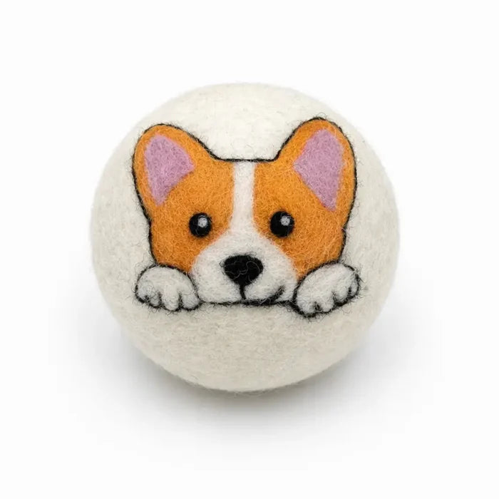 Corgi
