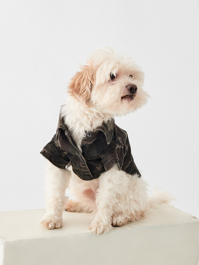Fido Canine Trucker | Vendetta