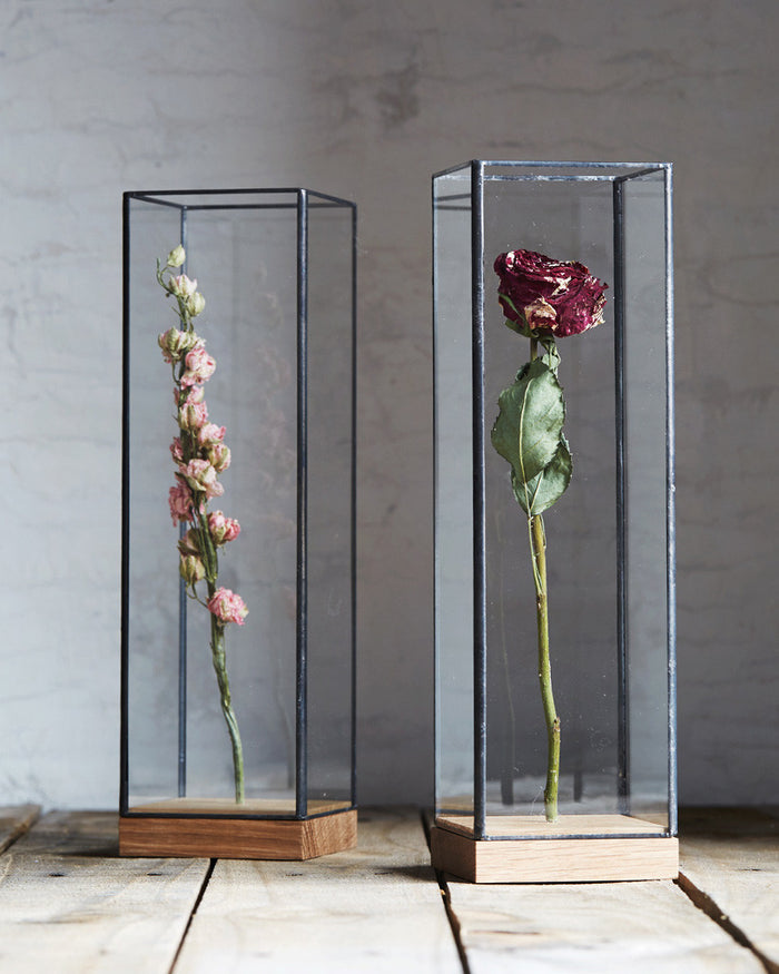 Flower Showcase - Large Black