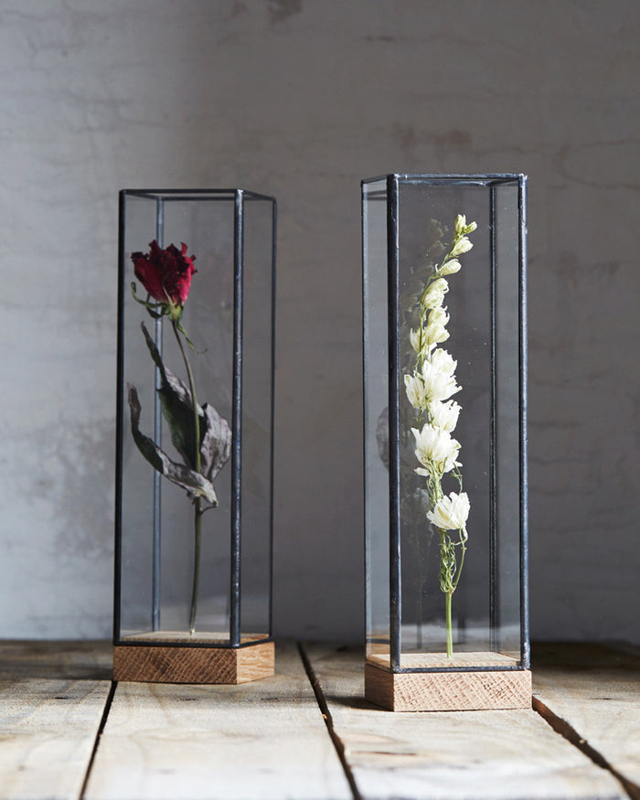 Flower Showcase - Small Black