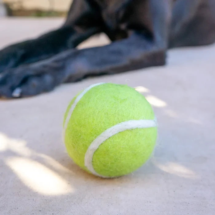 Tennis Ball