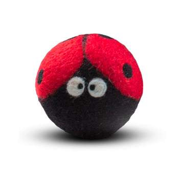 Ladybug