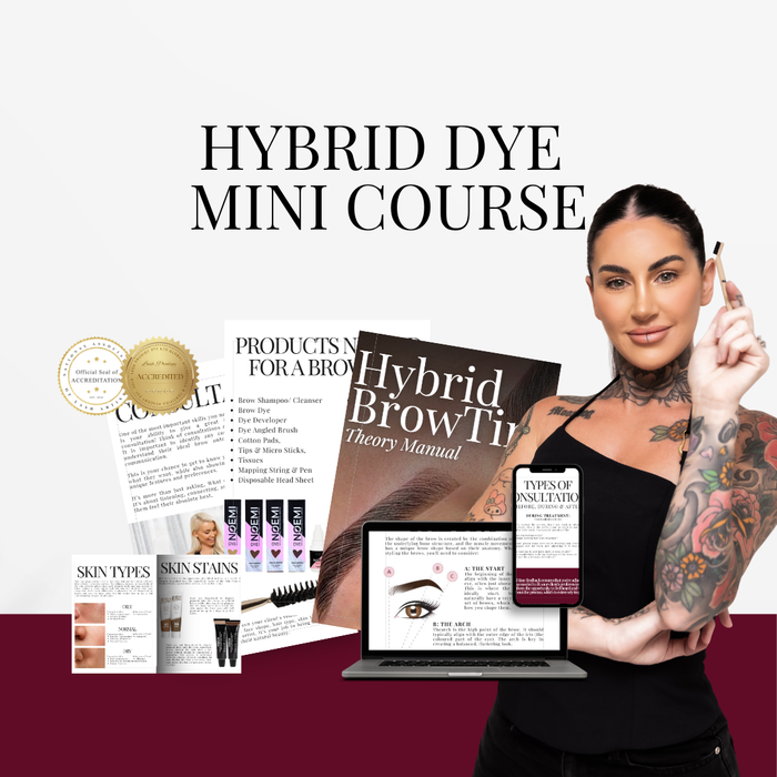 Hybrid Dye Mini Course