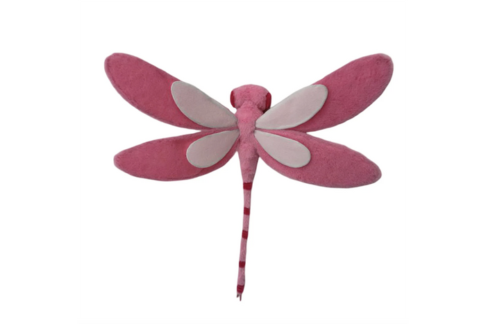 Insect