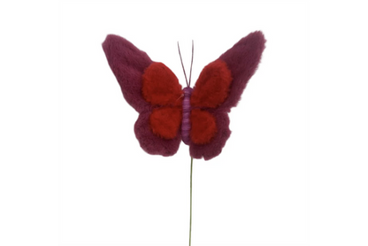 Insect