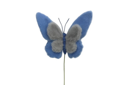 Insect