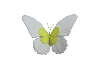 Insect