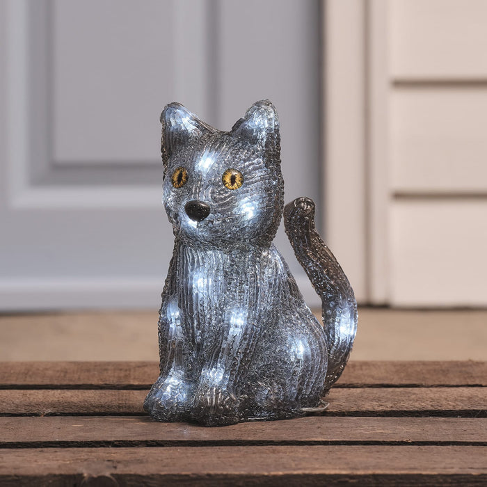 Jet the Black Cat LED Outdoor Halloween 3D Acrylic Figure