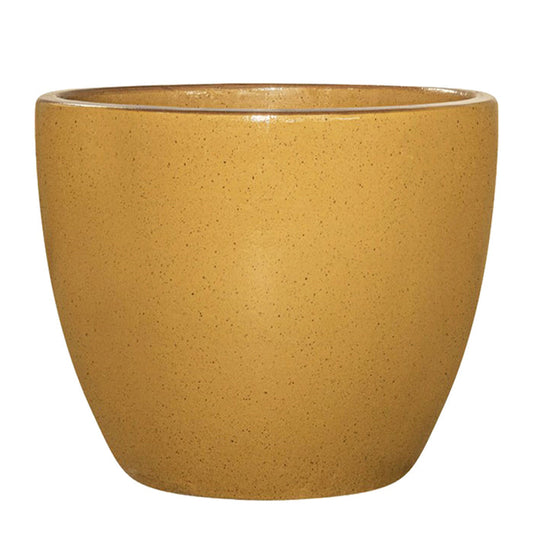 Jucar Pot Sunflower Set/4