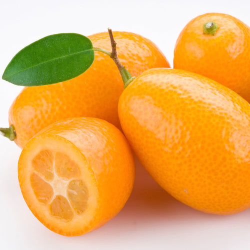Kumquat Fragrance Oil 653