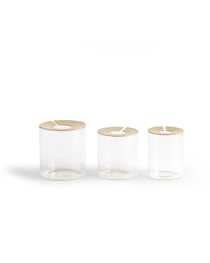 Lid Vision Glass Terrarium - Brass (OUT OF STOCK)