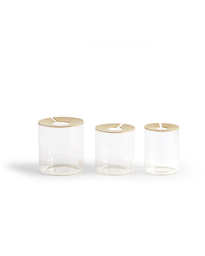 Lid Vision Glass Terrarium - Brass (OUT OF STOCK)